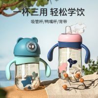 aynmer宝宝学饮杯婴儿奶瓶防漏防呛防摔带吸管儿童水杯鸭嘴杯ppsu