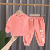 儿童卫衣套装春秋韩版洋气长袖运动裤男童女童外穿宝宝衣服两件套