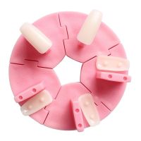 美甲底座莲花座练习甲片塑料圆形支架指甲油胶色板色卡作品展示座