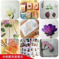 a3a4a5a6冷裱膜 高透膜 植物标本干花保护膜 书籍照片相片保护