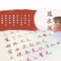 彩墨金粉玻璃笔蘸水笔墨水钢笔用彩色墨水染卡彩墨古风韵24星宿