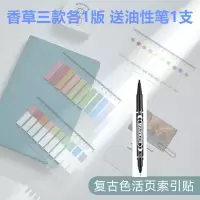 莫兰迪色pvc标签活页索引贴 简约ins小清新色便利贴可撕标记贴|复古色索引贴-A系3款送笔1支