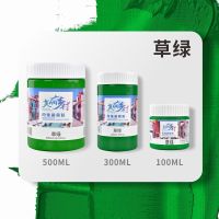 丙烯颜料防水套装diy画画美术用品涂鸦白色颜料手绘鞋子100ml工具|草绿 300ml(大促)
