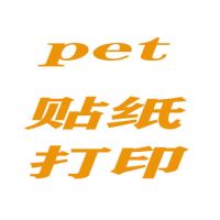 diy手账素材来图打印a4硫酸纸和纸不干胶激光打印pet透明贴纸|PET透明 50