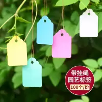 苗木植物吊塑料标记书写防水记号吊标签园艺花卉标签带线|黄色 5*3.5cm[100]
