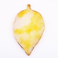 美甲日系调色盘玛瑙金边调色板水晶边拍摄道具调色作品展示板工具|树叶款黄色