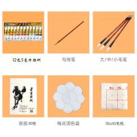 国画颜料12色24色36色初学者入门中国画山水墨画工具毛笔宣纸|12色5毫升[送7件配套]