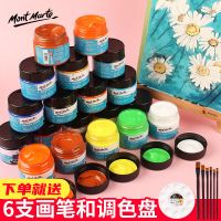 丙烯颜料大瓶套装全套48色彩绘涂鸦球鞋石头画手绘颜料