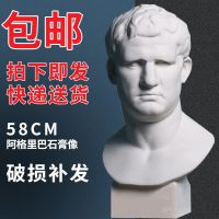 大卫石膏头像小卫海盗伏尔泰马赛维纳斯琴女几何体思考石膏头像