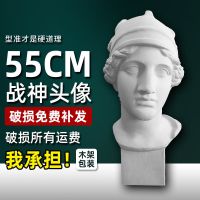 大卫石膏头像小卫海盗伏尔泰马赛维纳斯琴女几何体思考石膏头像