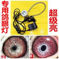 手机通用拍鸽子眼砂放大高清看鸽眼信鸽用品鸽具鸽眼灯