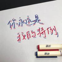 827彩色柔绘笔软头画画brush秀丽笔手账涂鸦书法做笔记