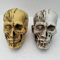 人体头部结构模型仿真小头骨树脂骷髅头美术教学艺考素描速写绘画