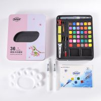 固体水彩颜料套装初学者粉饼水粉绘画颜料美术学习用品盒装