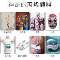 2瓶丙烯颜料套装彩绘墙绘涂鸦用球鞋石头画diy手绘颜料