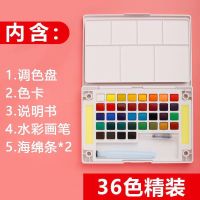 固体水彩颜料水粉画画美术用品泰伦斯36色绘画初学者颜料套装