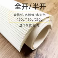 大张大全开素描纸1k对开2k全开水彩纸水粉纸半开美术加厚铅画纸