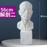 大卫石膏头像67cm石膏像艺考写生教具 石膏雕塑 几何体大卫头像