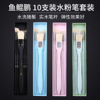 水粉笔套装美术专用猪鬃油画笔鱼尾扇形笔黑骑士色彩笔颜