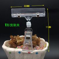 pop爆炸贴广告纸夹市水果价格标签标价透明水晶双头货架夹子