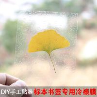 树叶标本塑封膜冷裱膜6寸a4a6手工制作相片纸照片植物书签贴膜