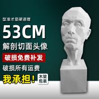 大卫石膏头像小卫海盗伏尔泰马赛维纳斯琴女几何体思考石膏头像