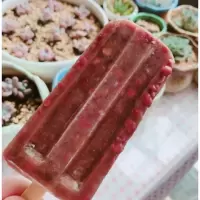 宏宝莱东北红豆77g