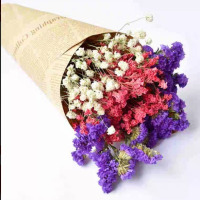 干花真花花束云南满天星勿忘我家居百搭送礼客厅卧室装饰真花|白红加勿忘我 长40cm宽20cm