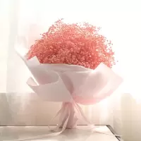 大束满天星干花花束鲜花速递毕业照送闺蜜老婆女友生日礼物花束|小号粉色(永生花)包装 不加LED灯