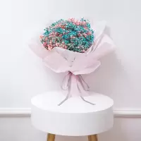 大束满天星干花花束鲜花速递毕业照送闺蜜老婆女友生日礼物花束|小号粉蓝(永生花)包装 不加LED灯