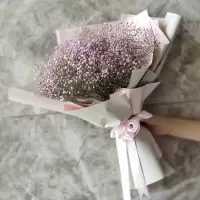 大束满天星干花花束鲜花速递毕业照送闺蜜老婆女友生日礼物花束|小号粉色(永生花) 不加LED灯