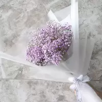 大束满天星干花花束鲜花速递毕业照送闺蜜老婆女友生日礼物花束|小号紫色(永生花) 不加LED灯