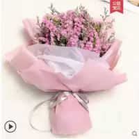 大束满天星干花花束鲜花速递毕业照送闺蜜老婆女友生日礼物花束|粉色勿忘我+包装 不加LED灯