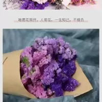 云南满天星干花花束真花鲜花大束直发勿忘我客厅摆件装饰插花|随机花束 不含花瓶(送英文报纸+丝带)