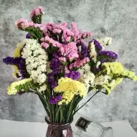 云南干花花束勿忘我大束情人草水晶草满天星家居摆设装饰鲜花|22支紫白黄粉+草 不含花瓶