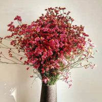 云南干花花束勿忘我大束情人草水晶草满天星家居摆设装饰鲜花|水晶粉一斤[按鲜花时称重] 不含花瓶