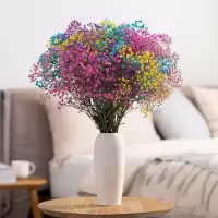 云南满天星干花花束大束真花勿忘我客厅卧室家居装饰|8彩混搭满天星[祝福]+薰衣草香包 满天星买一束送一个薰衣草香包