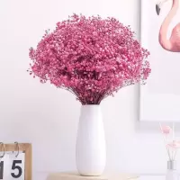 云南满天星干花花束大束真花勿忘我客厅卧室家居装饰|粉色满天星[女生]+薰衣草香包 满天星超大束[一斤鲜花量]