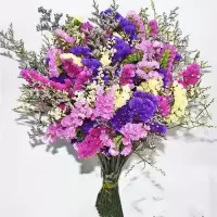 云南勿忘我干花花束买一斤送一斤满天星干花客厅摆件花束真花|紫玫粉黄+黄水晶+草 20支含白色花篮