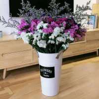 云南勿忘我干花花束买一斤送一斤满天星干花客厅摆件花束真花|紫玫粉白+草 买一斤送一斤