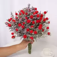 云南干花花束情人草招果鸿运当头风干小清新家居装饰摆设品客厅|鸿运当头红色 带磨砂渐变紫花瓶