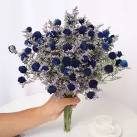 云南干花花束情人草招果鸿运当头风干小清新家居装饰摆设品客厅|鸿运当头蓝色 带磨砂渐变蓝花瓶