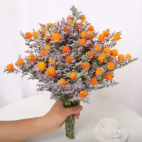 云南干花花束情人草招果鸿运当头风干小清新家居装饰摆设品客厅|鸿运当头橘色 带磨砂渐变紫花瓶