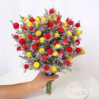 云南干花花束情人草招果鸿运当头风干小清新家居装饰摆设品客厅|鸿运当头红黄相间 不带花瓶-