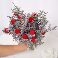 云南干花花束情人草招果鸿运当头风干小清新家居装饰摆设品客厅|鸿运当头10个花头 不带花瓶-