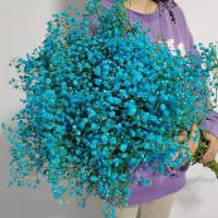 满天星干花花束真花云南大束家用鲜花客厅装饰摆件永生花生日|蓝色 2斤鲜花(半干)