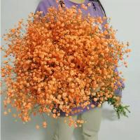满天星干花花束真花云南大束家用鲜花客厅装饰摆件永生花生日|橙色 半斤鲜花(半干)