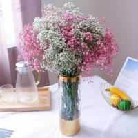 满天星干花花束真花云南大束家用鲜花客厅装饰摆件永生花生日|2个颜色拼可自选2个色备注 半斤鲜花(半干)