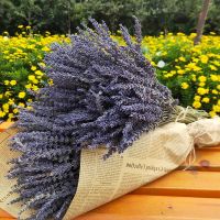 薰衣草干花花束花束香包客厅装饰ins小清新礼物