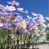 仿真花瓶小雏菊花束假花装饰客厅餐厅装饰品摆件塑料花卉格桑花盆